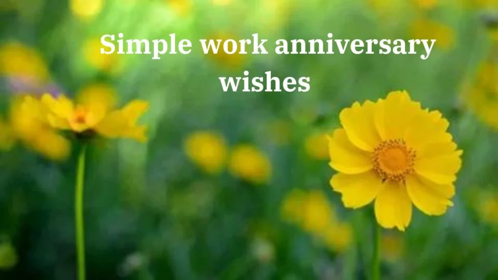 Simple-work-anniversary-wishes