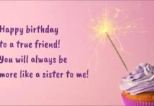70+ Amazing Insulting Birthday Wishes for Best Friend 2 insulting birthday wishes for best friend 2