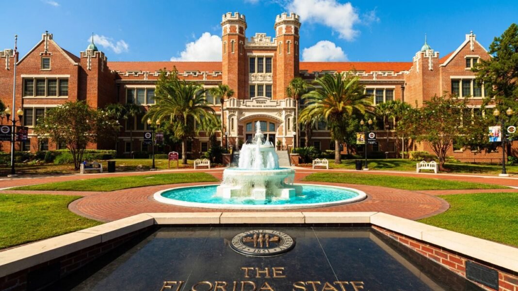 Discover the University of Florida