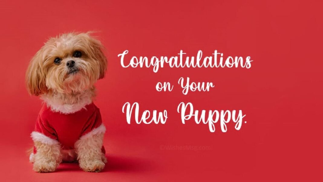 Congratulations Messages for a New Dog