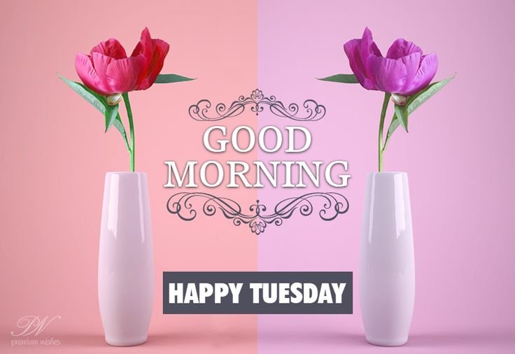 Creative Ways to Share Tuesday Wishes