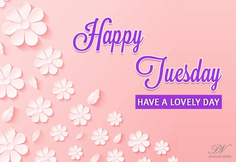 Creative Ways to Share Tuesday Wishes