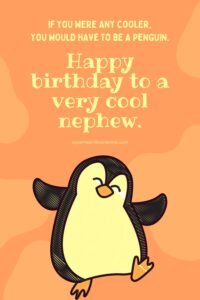 birthday wishes for a nephew