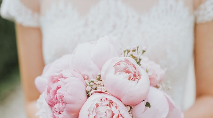 Ultimate Wedding Wishes for Sister (100+ Ideas) wedding wishes for sister