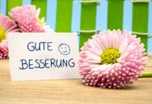Best Saturday Wishes and Messages to Brighten Your Day saturday wishes and messages