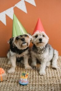 Funny anniversary wishes and messages written on a greeting card with balloons