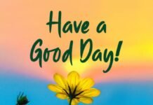 Have a Good Day: Meaning, Alternatives, and How to Say It Naturally Have a Good Day