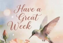 How to Have Great Week Every Time: A Simple 7-Day Plan have great week​